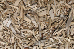 biomass boilers Caudlesprings